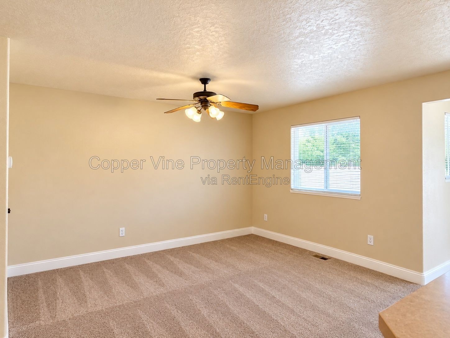 Move in ready! property image
