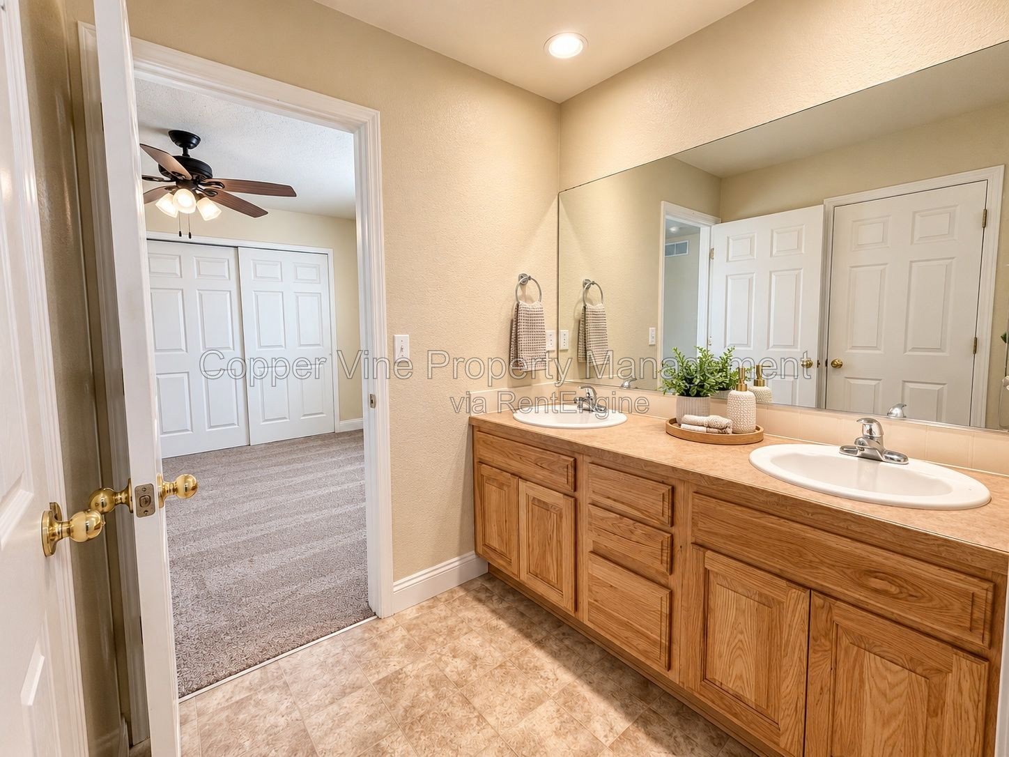 Move in ready! property image