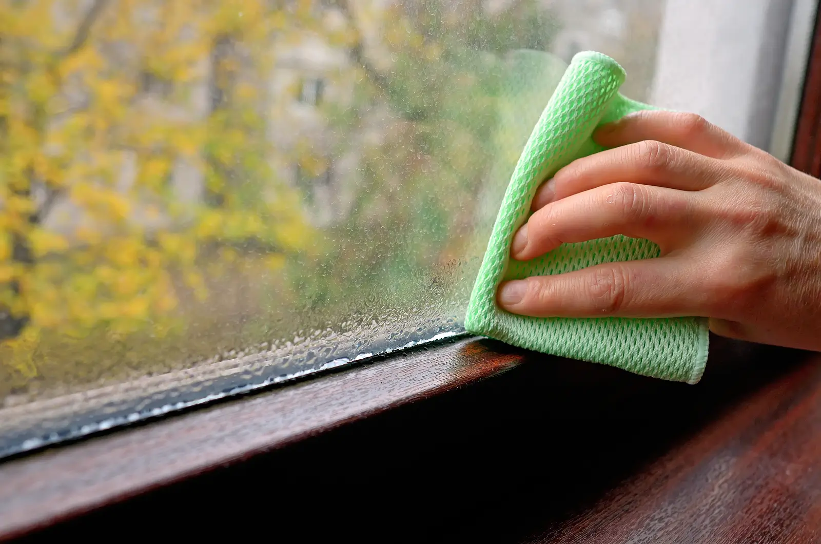 How to Prevent Window Condensation in Your Westminster Rental Property