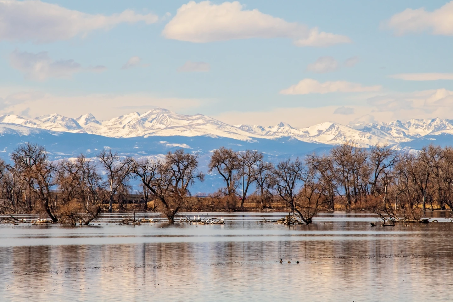 Brighton Property Management